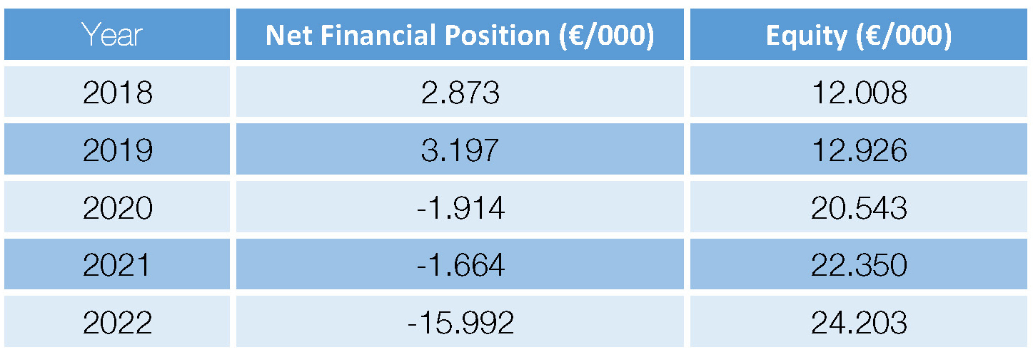 values of net financial position and the equity 1
