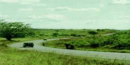 Tanzania – Arusha – Dodoma road