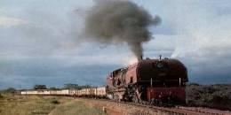 Tanzania - Rusomo Falls -  Kemondo Bay New Railway Line